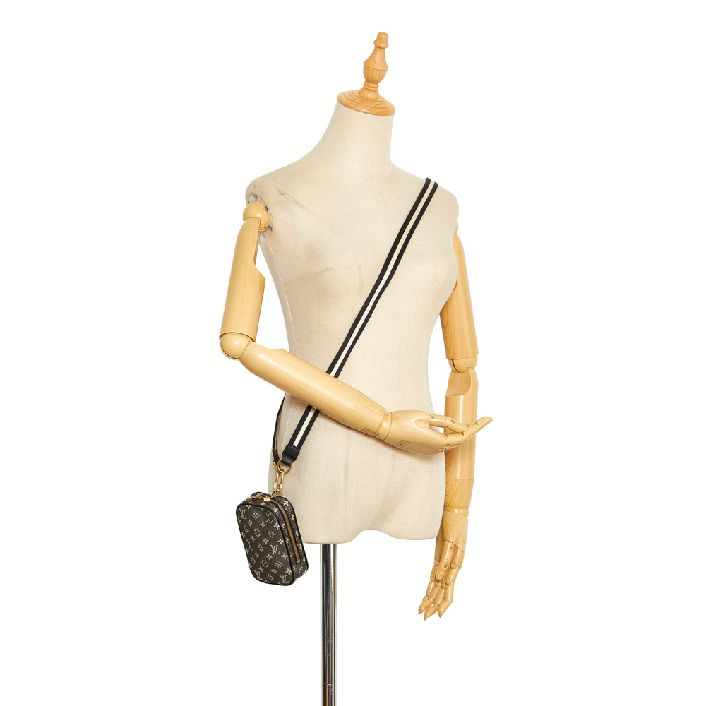 LOUIS VUITTON Monogram Mini Lin Camera Bag - Picture 9 of 10